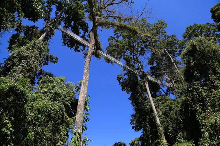 ????, ?????? ???? ??