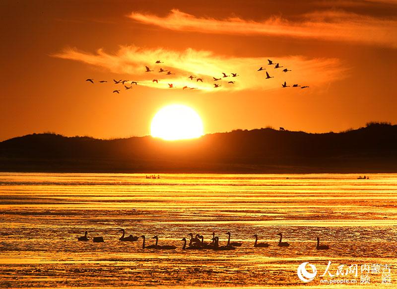 ???? ???(天鵝湖)-??? ??? ??? ??? ??