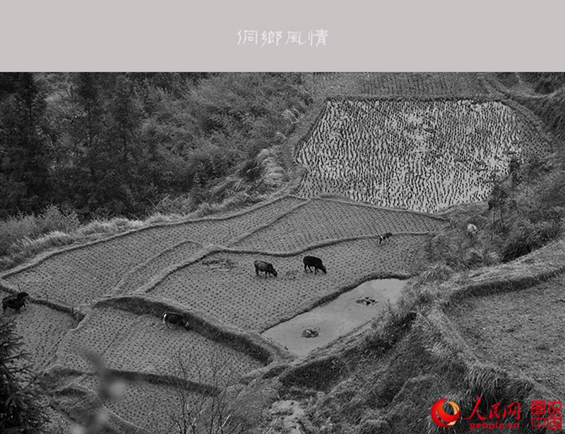 ?? ??? ??? ????…???? ????