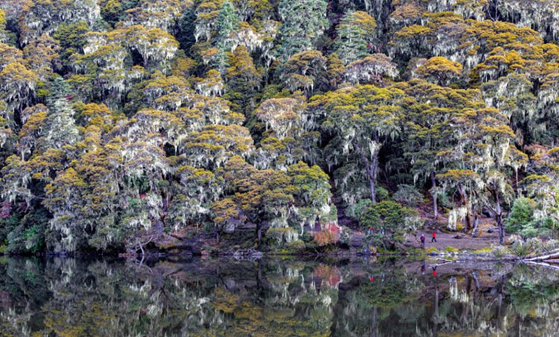 ???? ??? ???? ??, ???? ?????