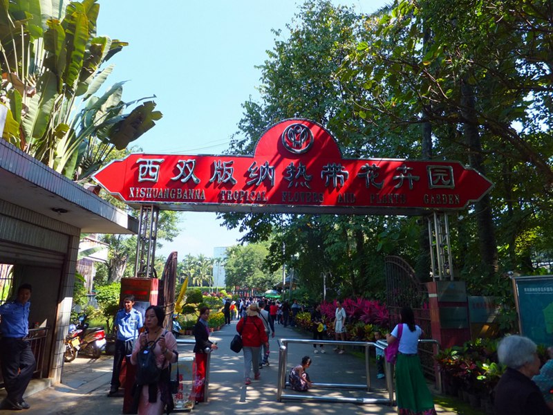????(西雙版納)? ?? ???? '???? ?????'