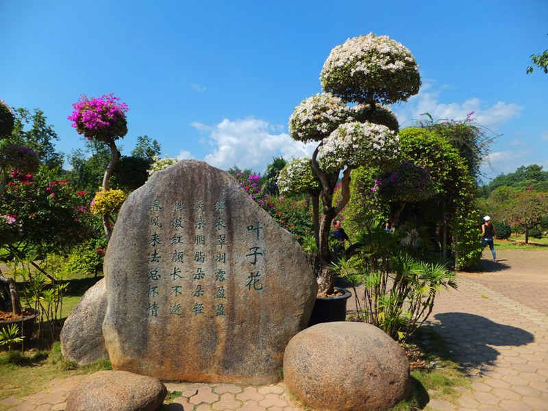 ????(西雙版納)? ?? ???? '???? ?????'