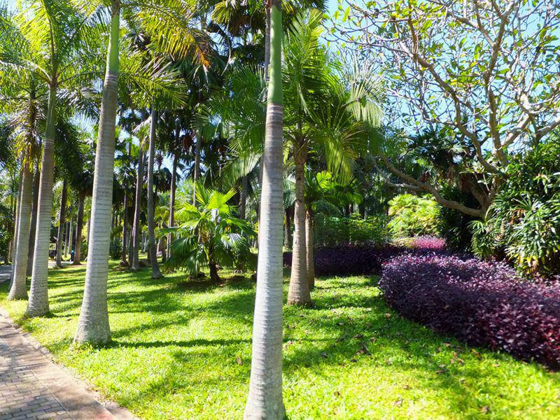 ????(西雙版納)? ?? ???? '???? ?????'