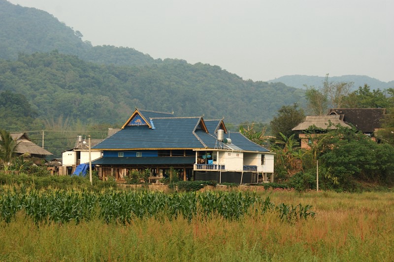 ????(西雙版納)? ?? ???? '??(曼旦)?'