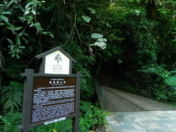 ????(西雙版納)? ?? ???? '??(曼旦)?'