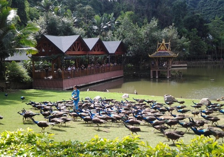 ??????? ??? ?? TOP5(???? ??? ??)