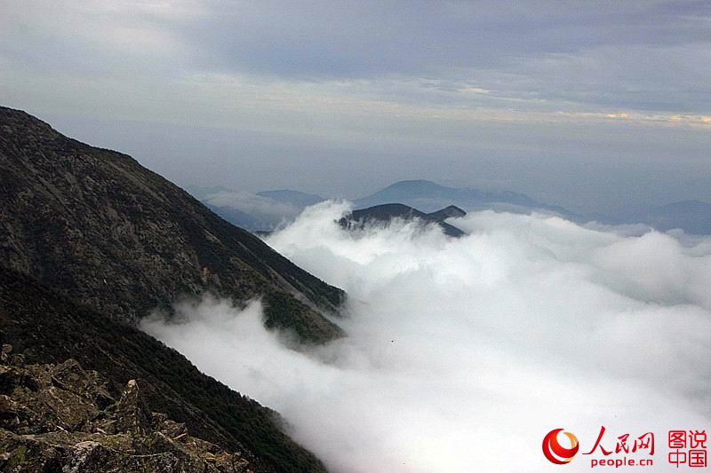 ???????? ? ? ?? ???? ?? ??