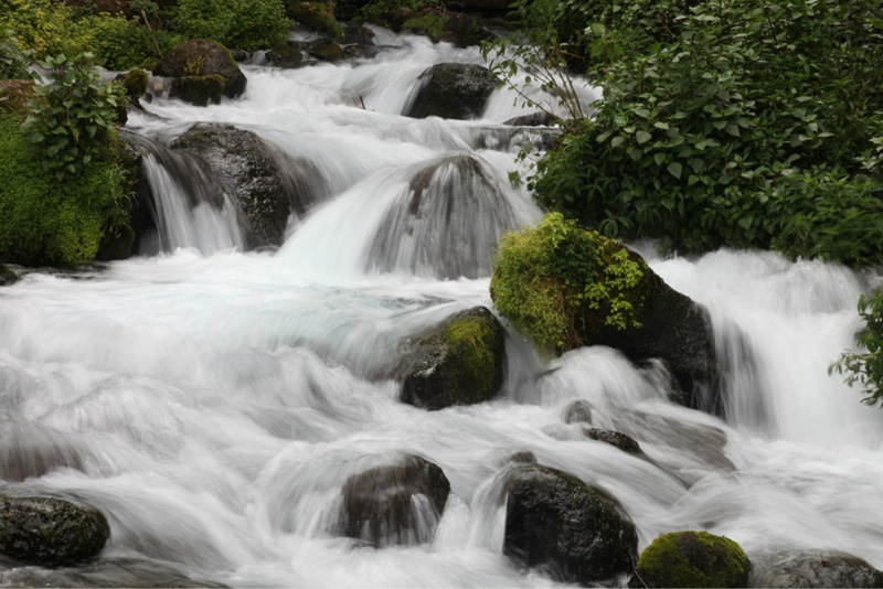 ??(騰沖)? ?? ?? ?? '????(黑魚河)'