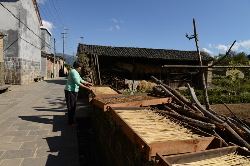 ??(騰沖)? ?? ?? ?? '??(綺羅) ???'