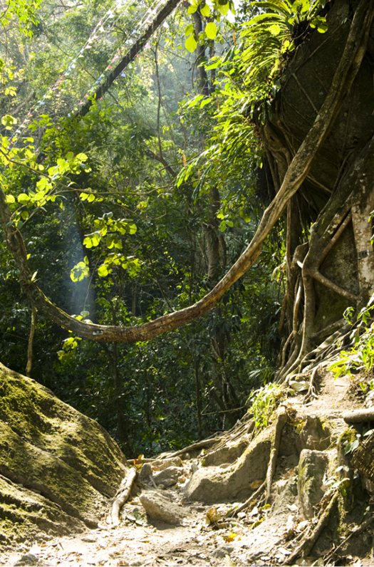 ??(騰沖)? ?? ?? ?? '???(櫻花谷)'