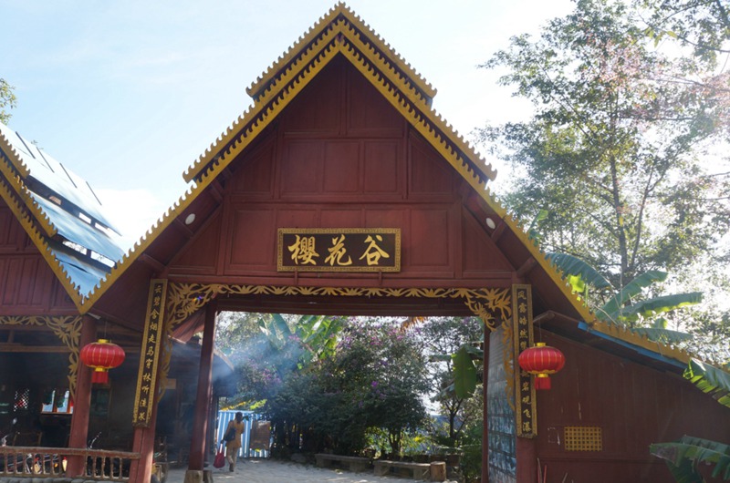 ??(騰沖)? ?? ?? ?? '???(櫻花谷)'