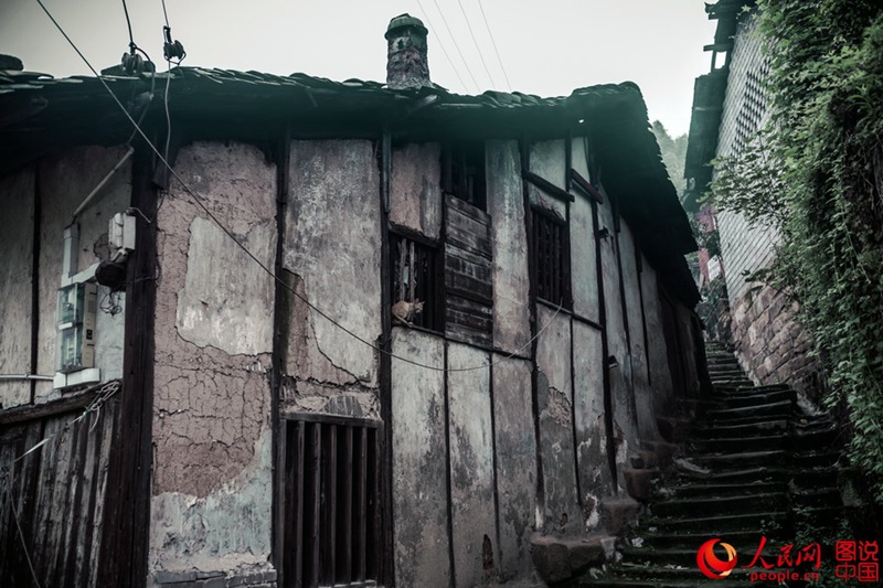 ? ? ??? ??? ??(重慶)? ?? ?? ?? ???