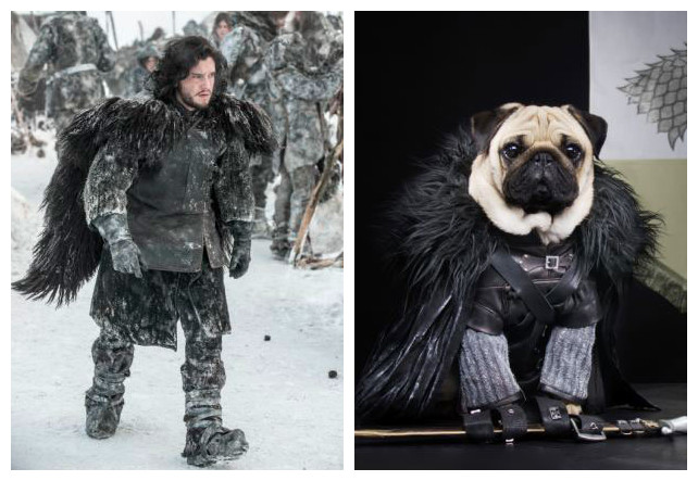 ???? ?? ??? ? ????? ?? ??