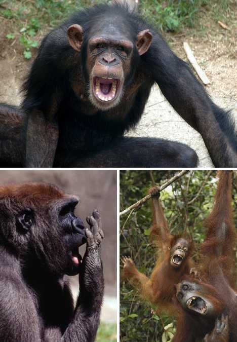 ??? ??? ???? “?? ??????”