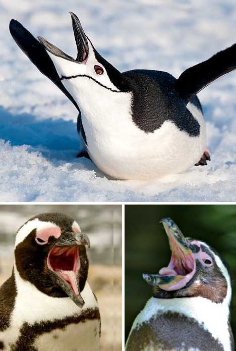 ??? ??? ???? “?? ??????”