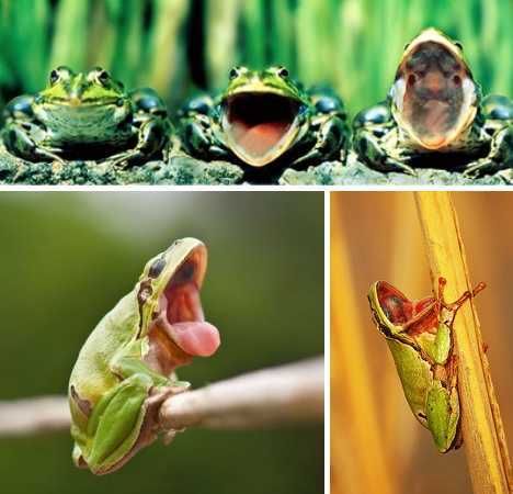 ??? ??? ???? “?? ??????”