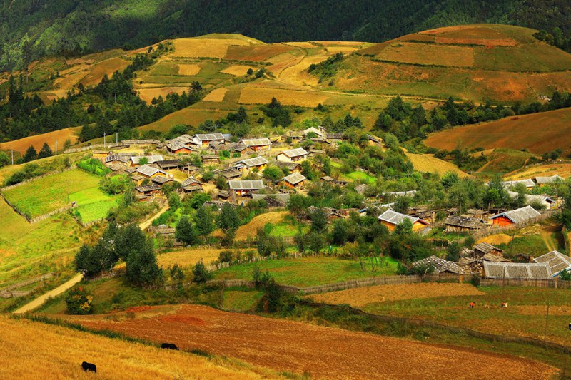 ????(香格裡拉)???? ?? ??? ?