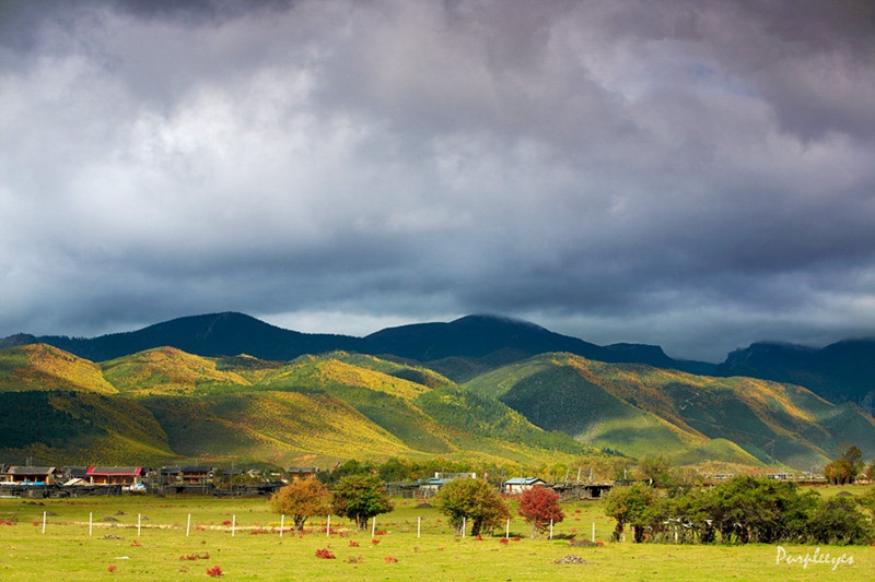 ????(香格裡拉)???? ?? ??? ?