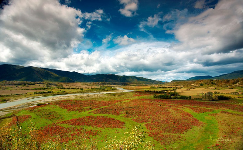 ????(香格裡拉)???? ?? ??? ?