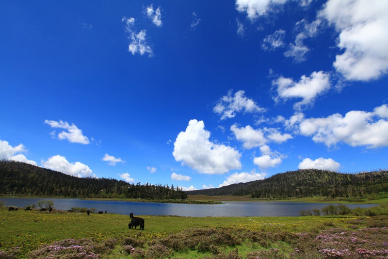 ????? ?? ???? ???, ????(碧沽天池)