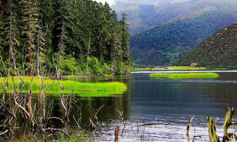 ????? ?? ???? ???,???(普達(dá)措)??????