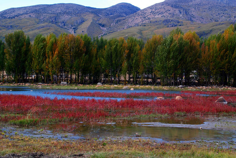 ????? ?? ???? ???,???? ???(香格裡拉大峽谷)