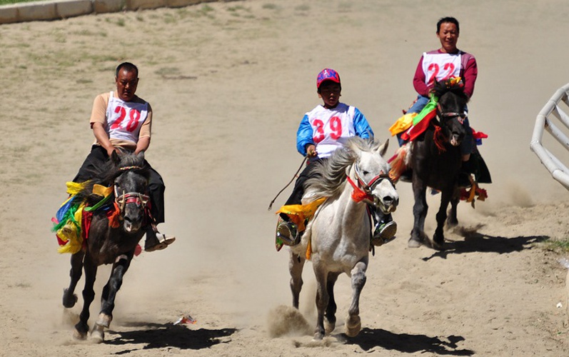 ????? ?? ?? ??, ????(賽馬節(jié))