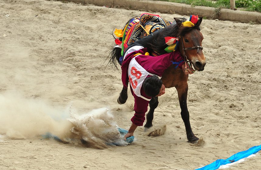 ????? ?? ?? ??, ????(賽馬節(jié))