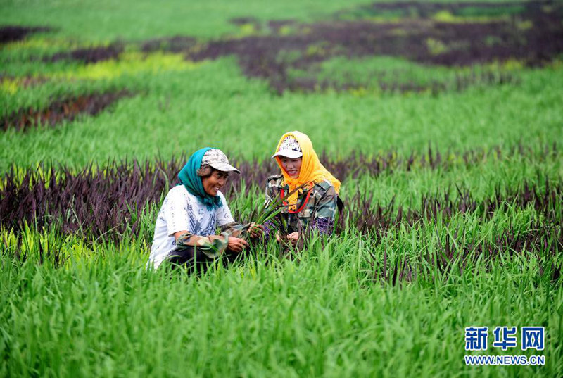 ?? 3D??? ??? ??, ??? ????