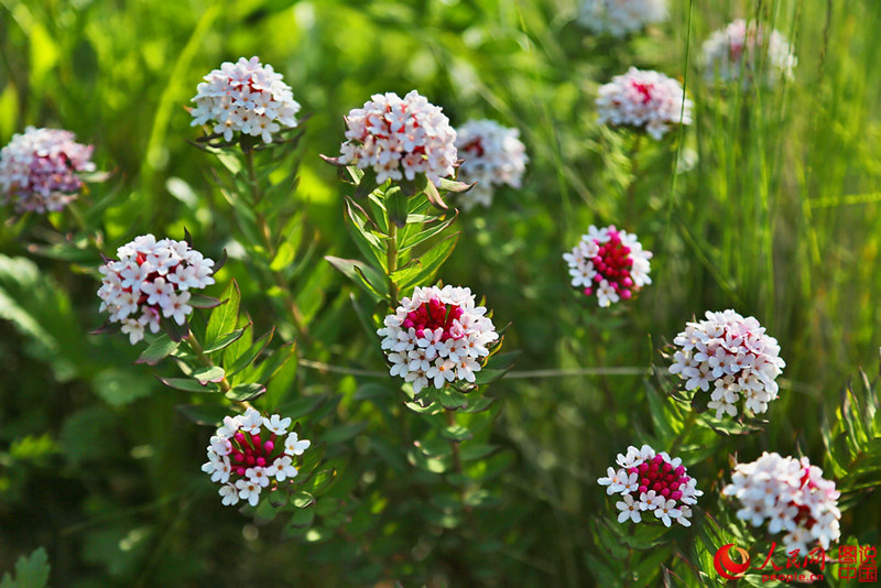 ???? ‘??’? ???…?? ???? ??