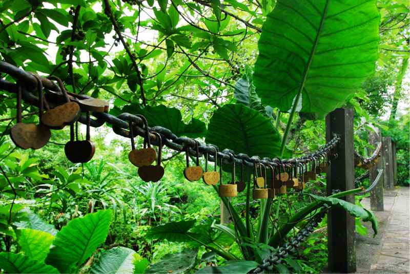 ????(?？?? ?? 10? ??? '??(石山) ???(火山群)??????'