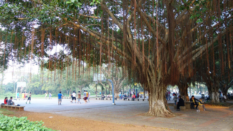 ????(?？?? ?? 10? ??? ‘???(金牛嶺)??’