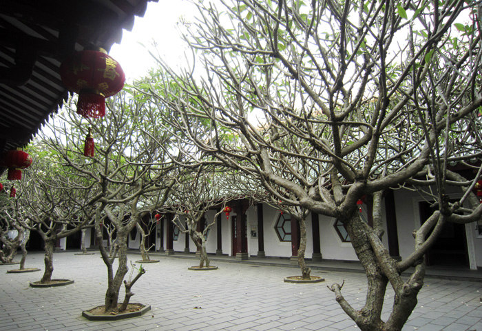 ????(?？?? ?? 10? ??? ‘???(瓊臺(tái)) ??’