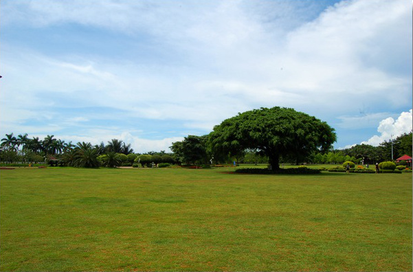 ????(?？?? ?? 10? ??? '????(萬綠園)'