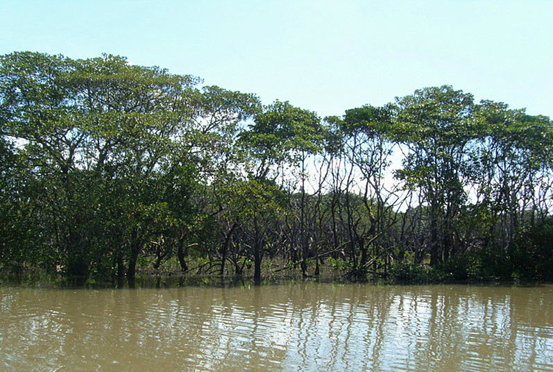 ????(海口)? ?? 10? ??? ‘????(東寨港) ????’