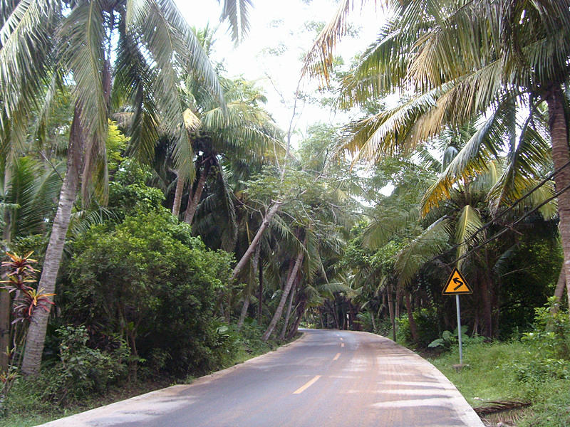 ????(?？?? ?? 10? ??? ‘????(東寨港) ????’