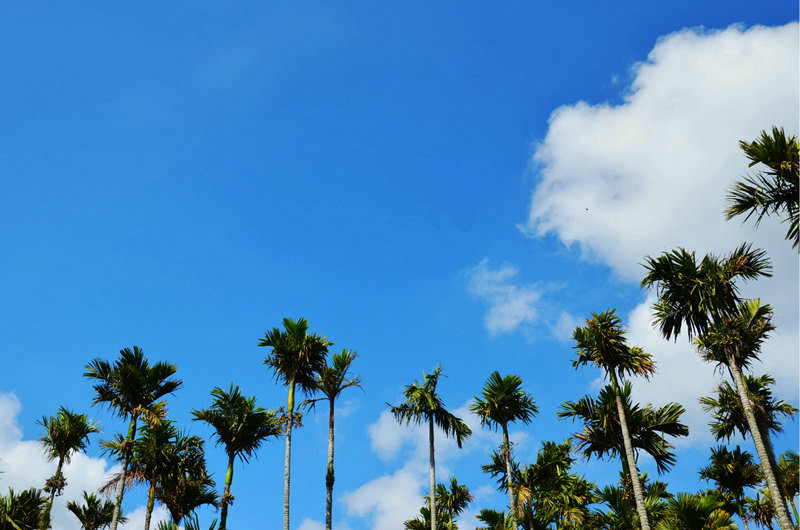 ??(三亞)? ?? ???,'???(呀諾達(dá)) ????'