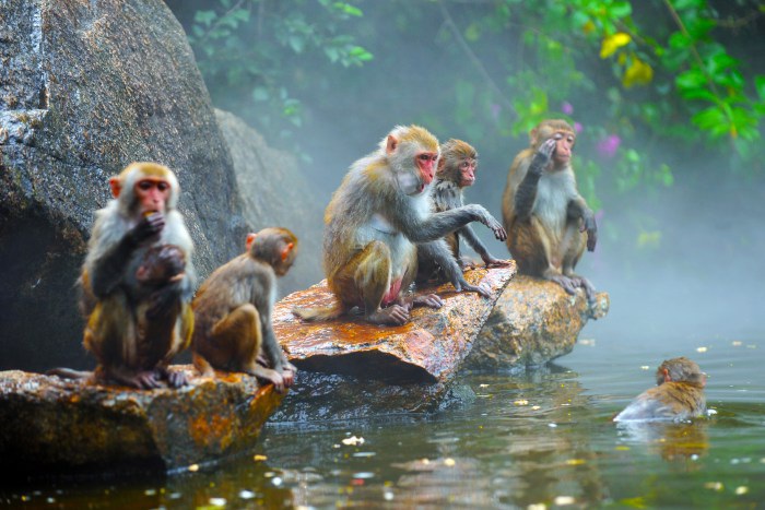 ???(海南) ?? 4? ?? ??, ?? ???? ??? 6? ?? 