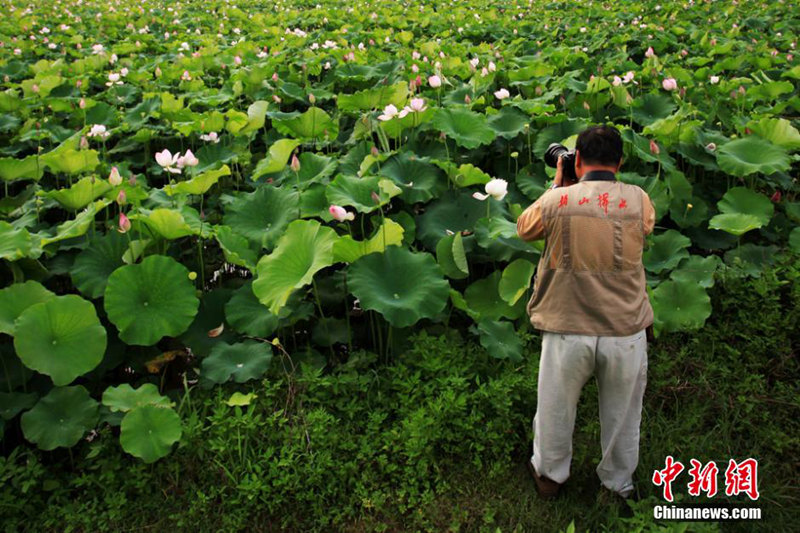 ?? ??? ?? ??…??? ??? ? ??? ??