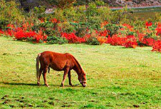 ???(普達(dá)措)?????? ??1