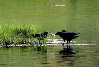 ???(普達(dá)措)?????? ??2