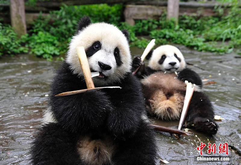 ‘?? ???’? ?? ??, ????? ??