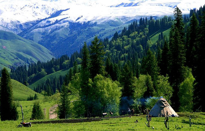 ?? ?? ?????? ??, ???? ?? ??