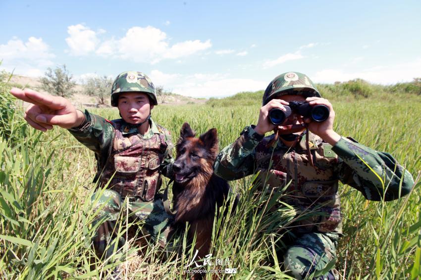 ‘8.1’ ???, ‘?? ???’ ???? ??? ????