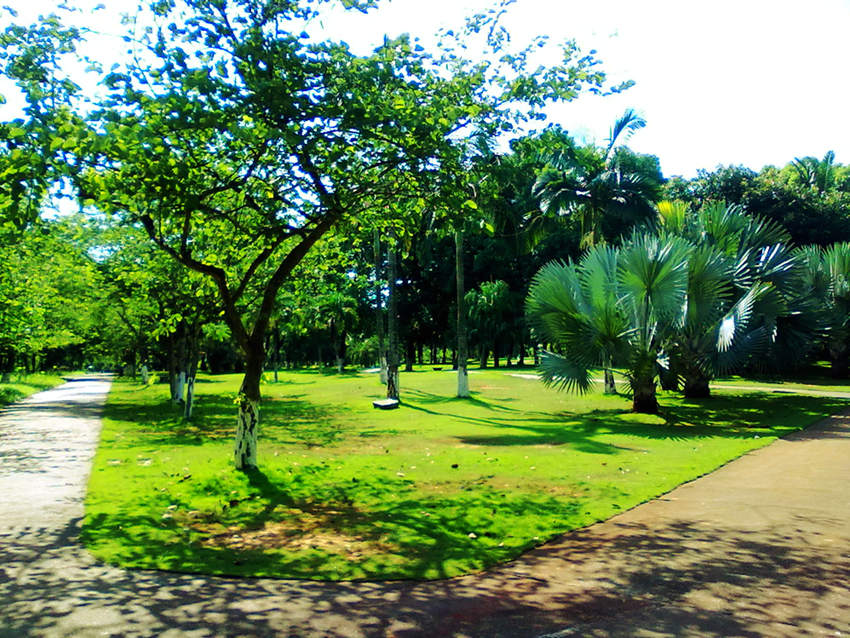 ????(?？?? ?? 10? ??? ‘???(金牛嶺)??’