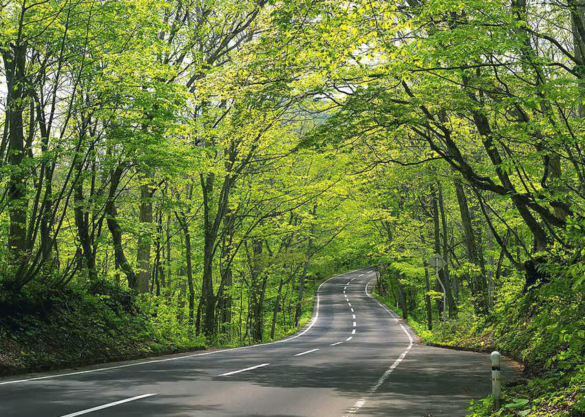 ????(?？?, ???? ???? ???? ???