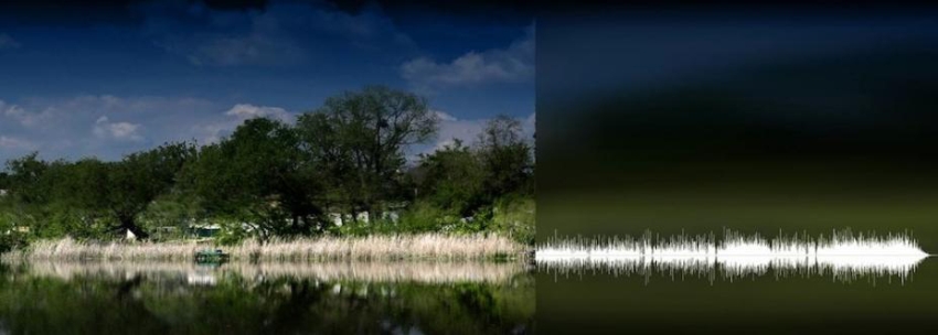 ???? ‘???? ??’? ‘????’? ???? ‘???’ 