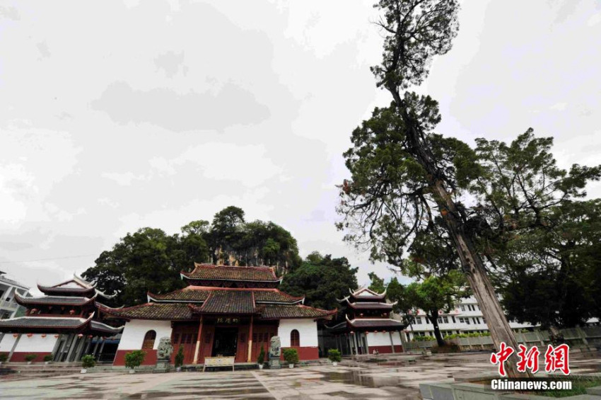 ?? ???, ?? ‘????’ ???? ??