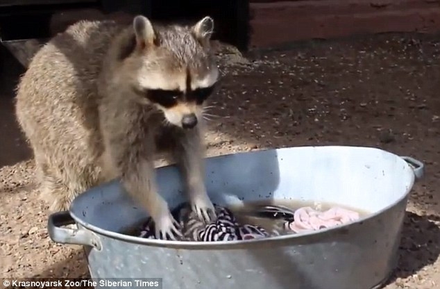 ??? 女 ?? ??? ?????? ???