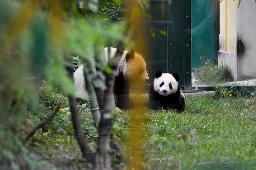 ?? ?? ‘???’ ????? ???